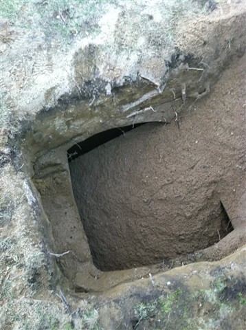 Fill tank with clean sand to complete abandonment.